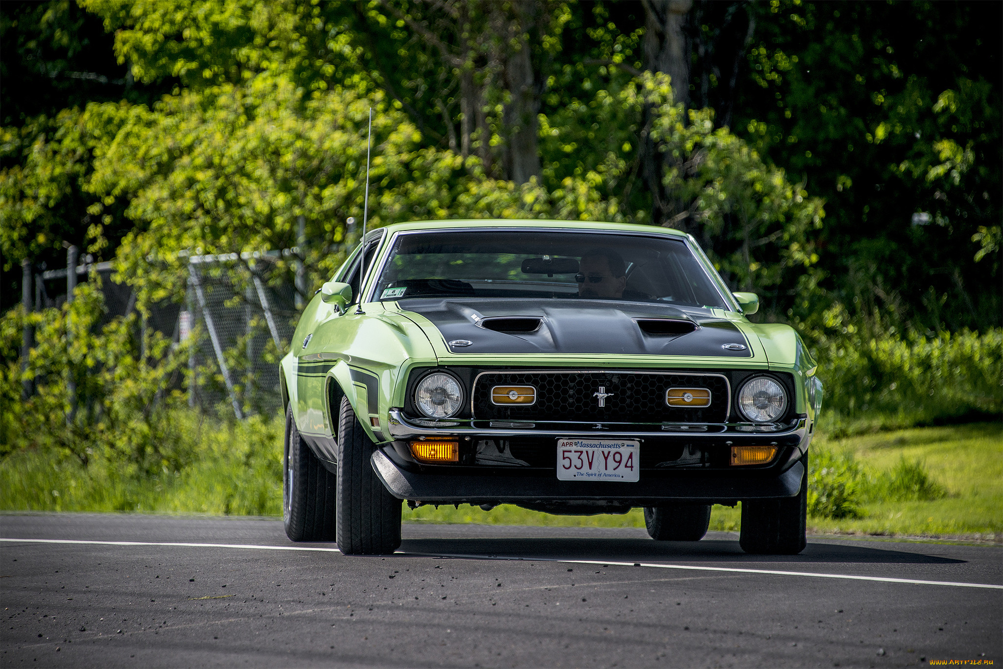 ford mustang mach 1, , mustang, , , 